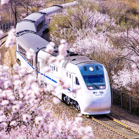 栩