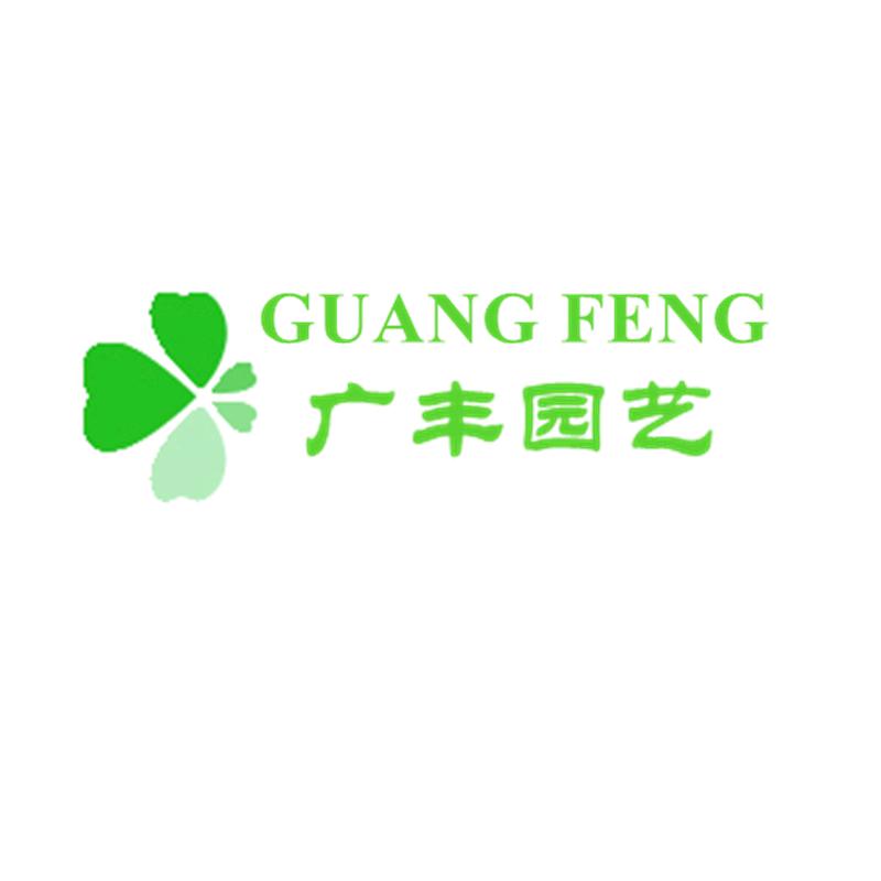 广丰园艺绿植