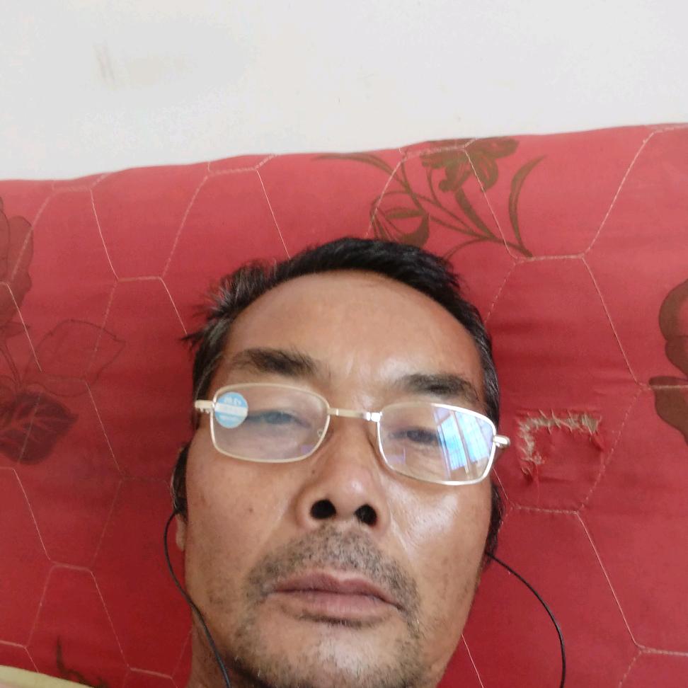 书哲