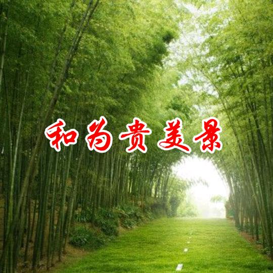和为贵美景