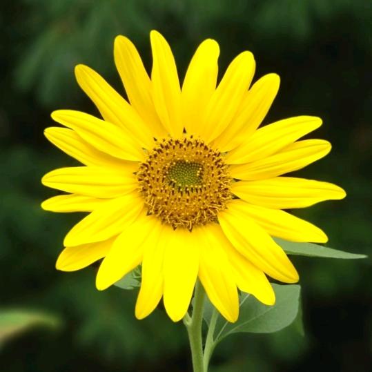 嘉悦宴会酒店陈