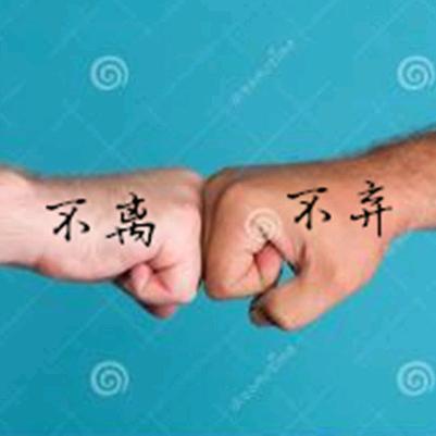 朗诗德净水机代理（王丫）