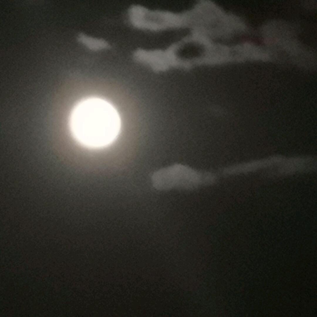 Fl