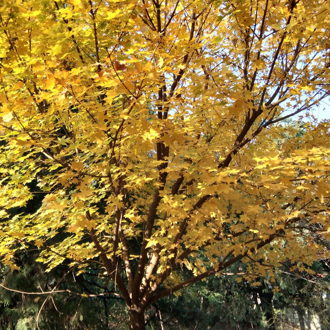 怡生平安❤️