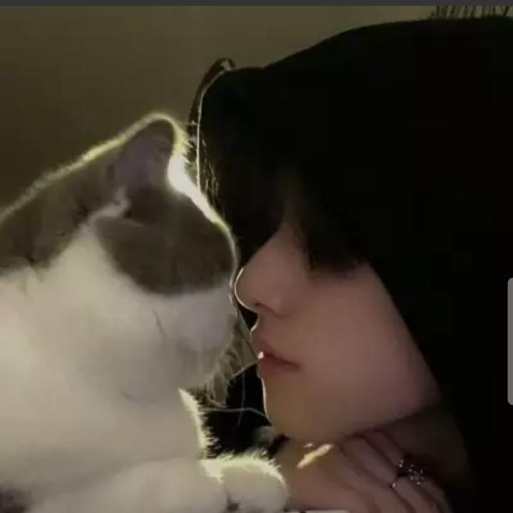 云舒