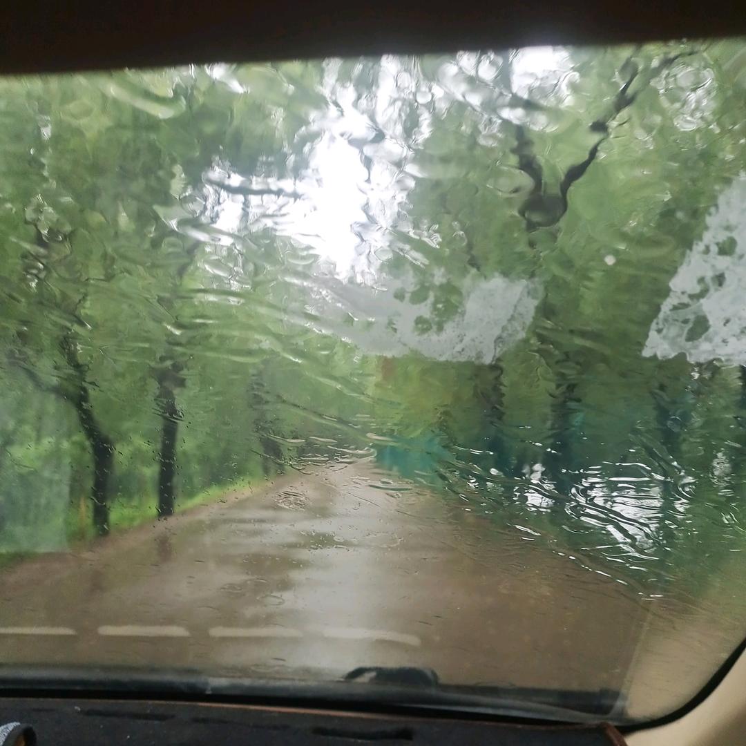 雨荷