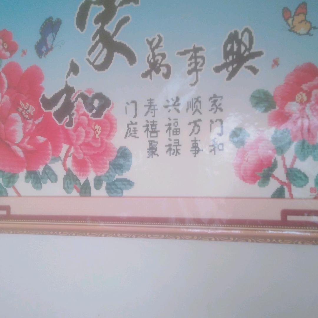 河南人在内蒙