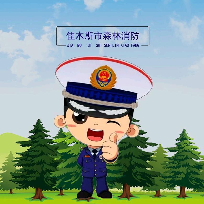 佳木斯市森林消防支队
