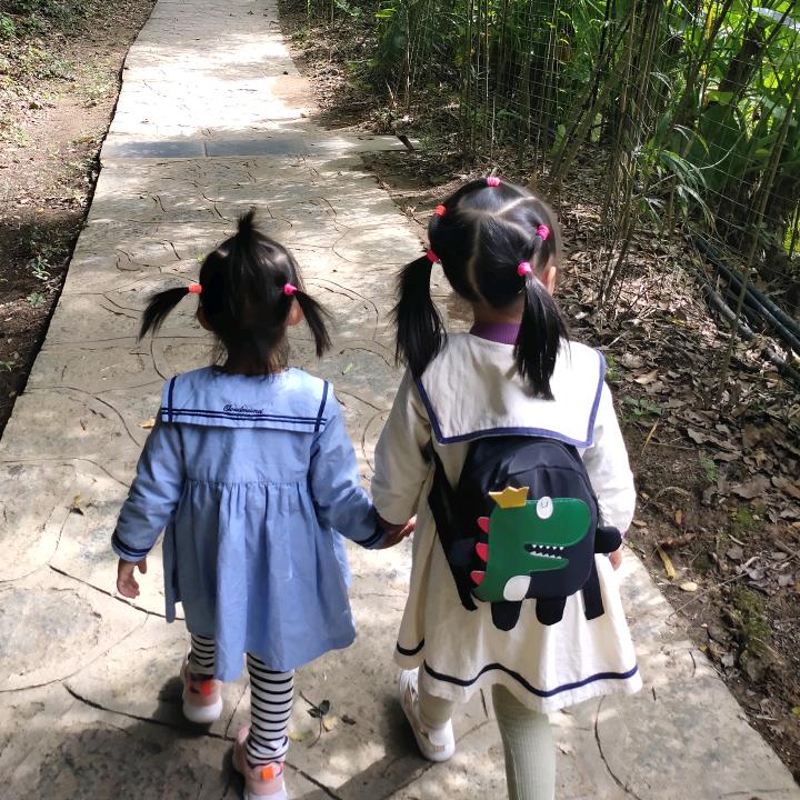 时光与喵 。