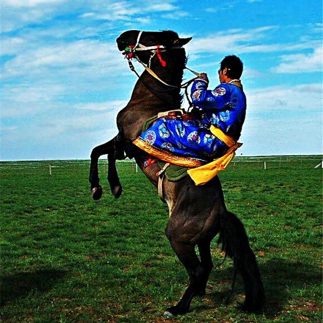 草原美食风味指南