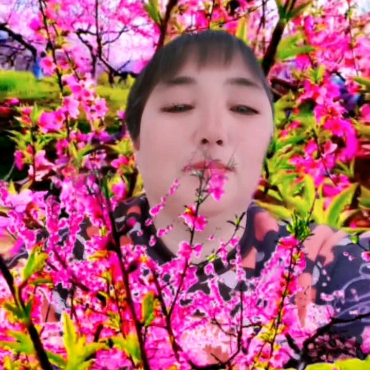 红兰
