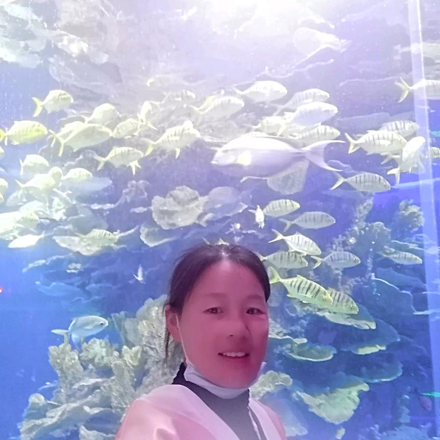 张集卫国钢材批发