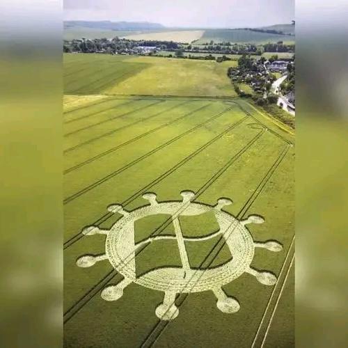 疯子又要发疯了