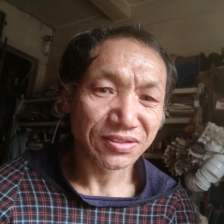 平淡人生