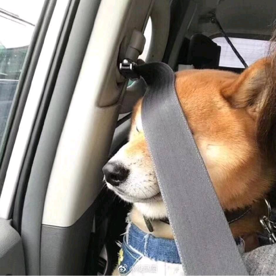疯狂小柠檬