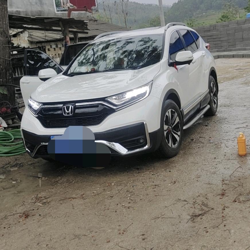 灯爷