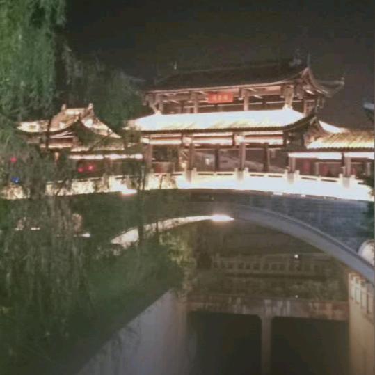情为何物