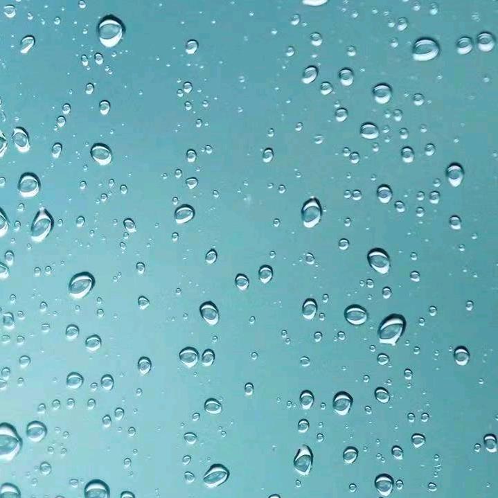 自作孽不可活！