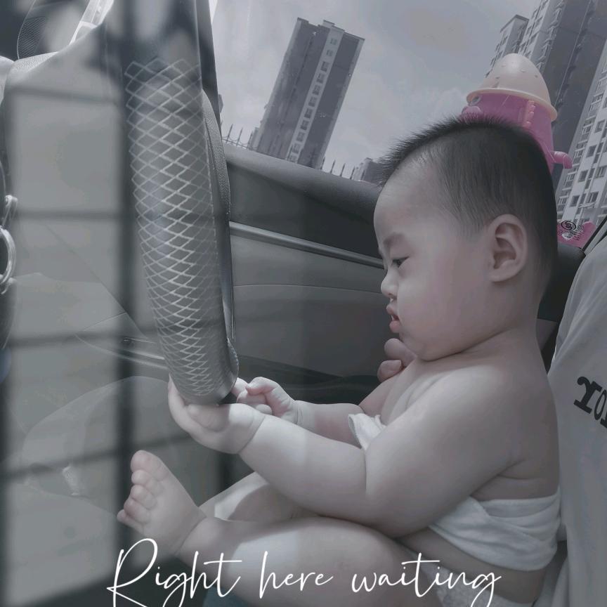 小毛豆成长记