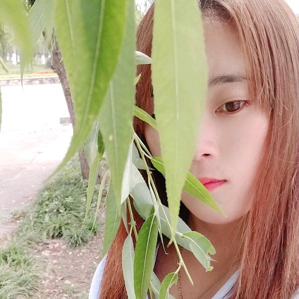 燕子飞呀飞