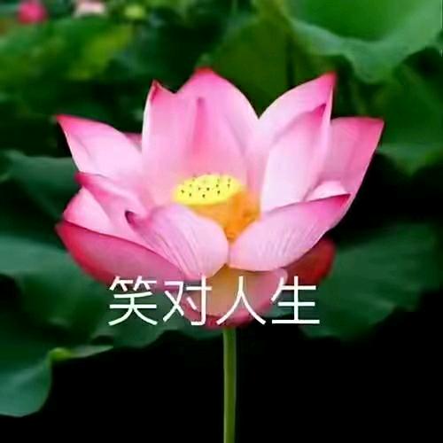 yin老尹