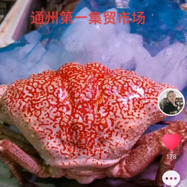 海鲜姐姐