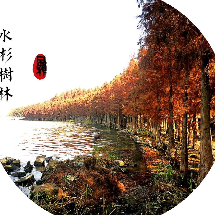 无盐女