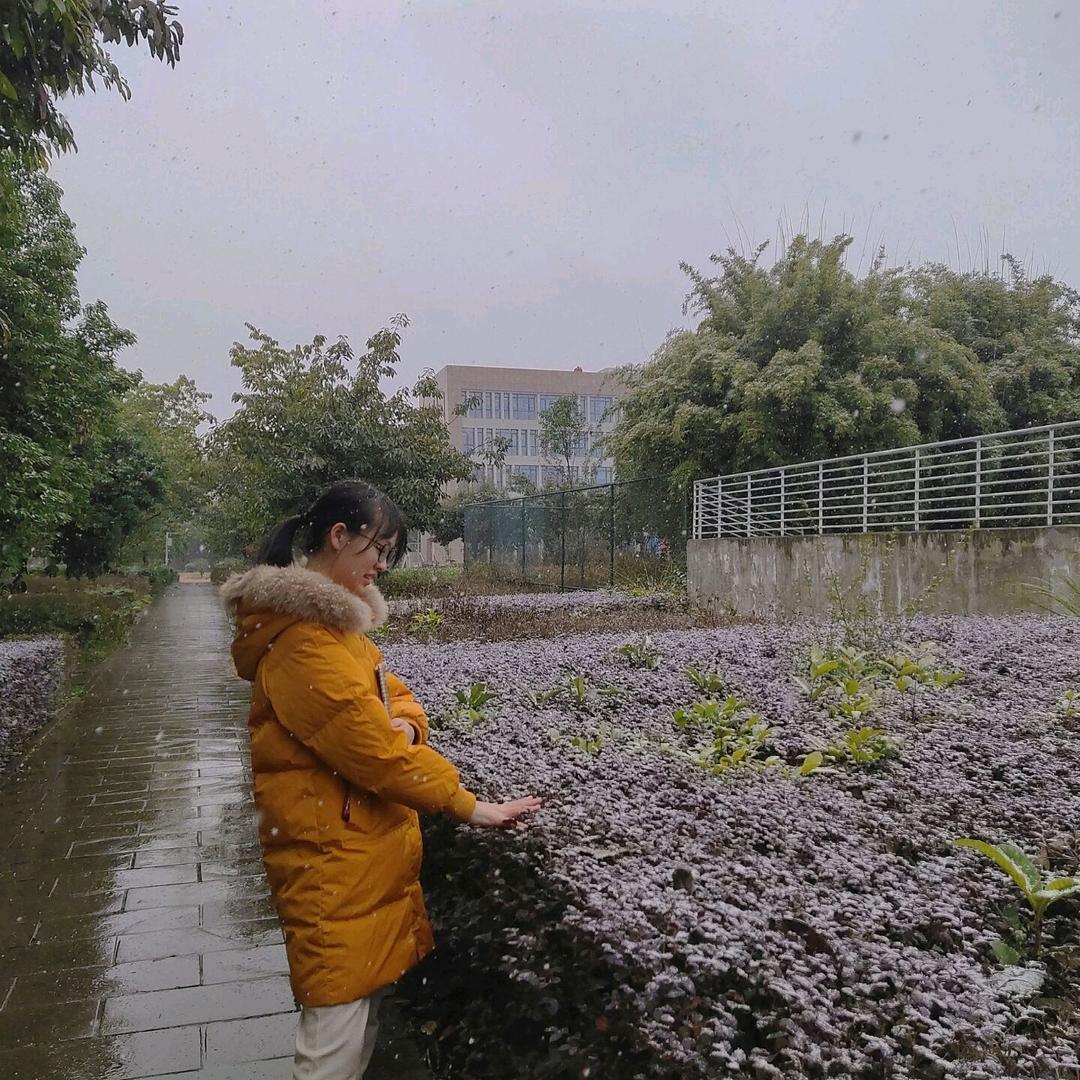 金子会发光✨