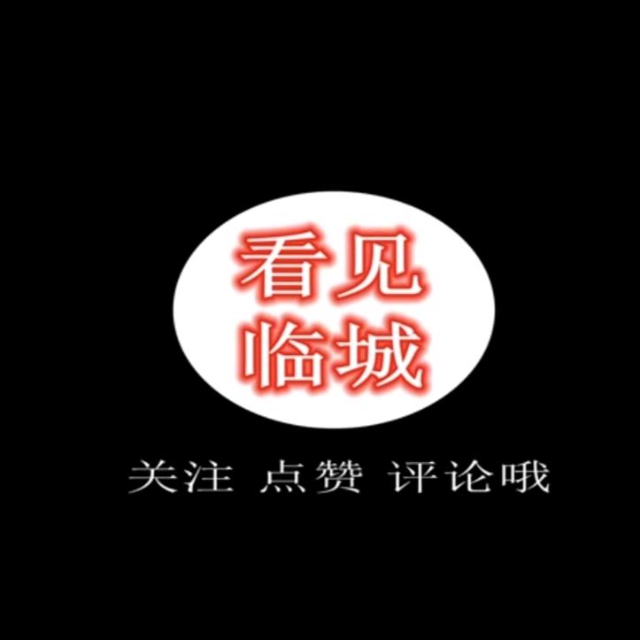 看见临城
