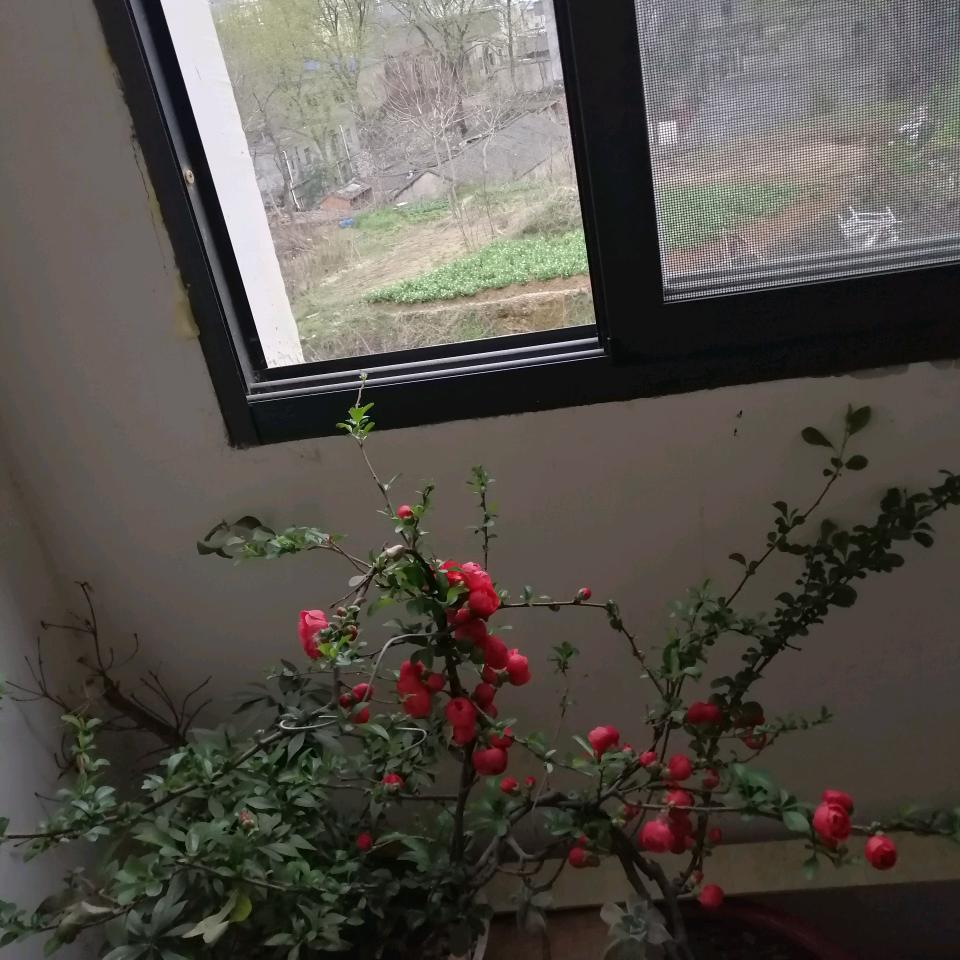 骑辆摩托走天涯