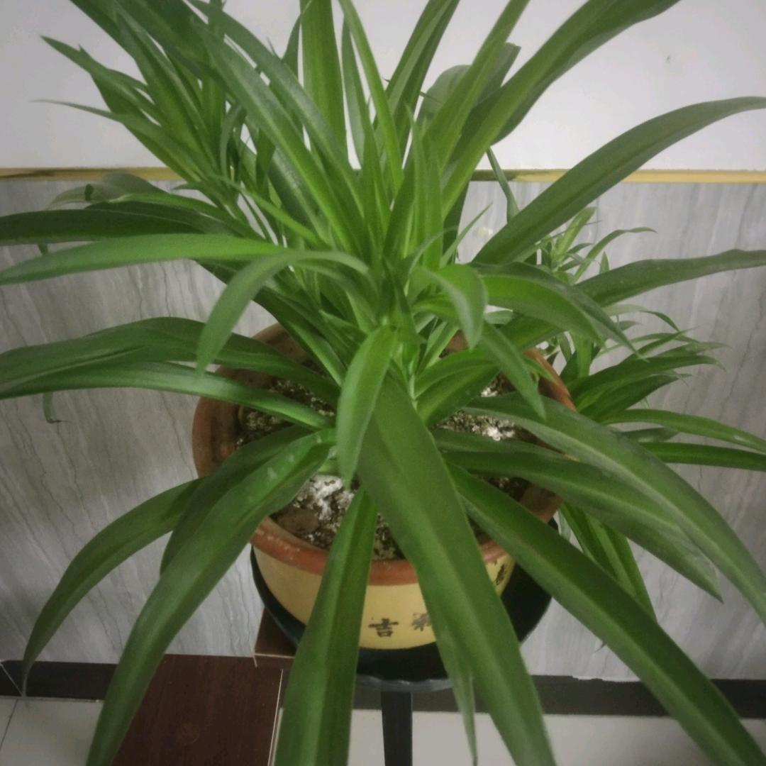 美好回忆