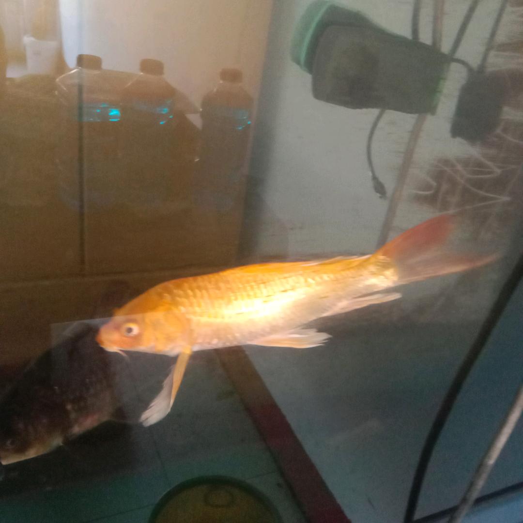 缘分