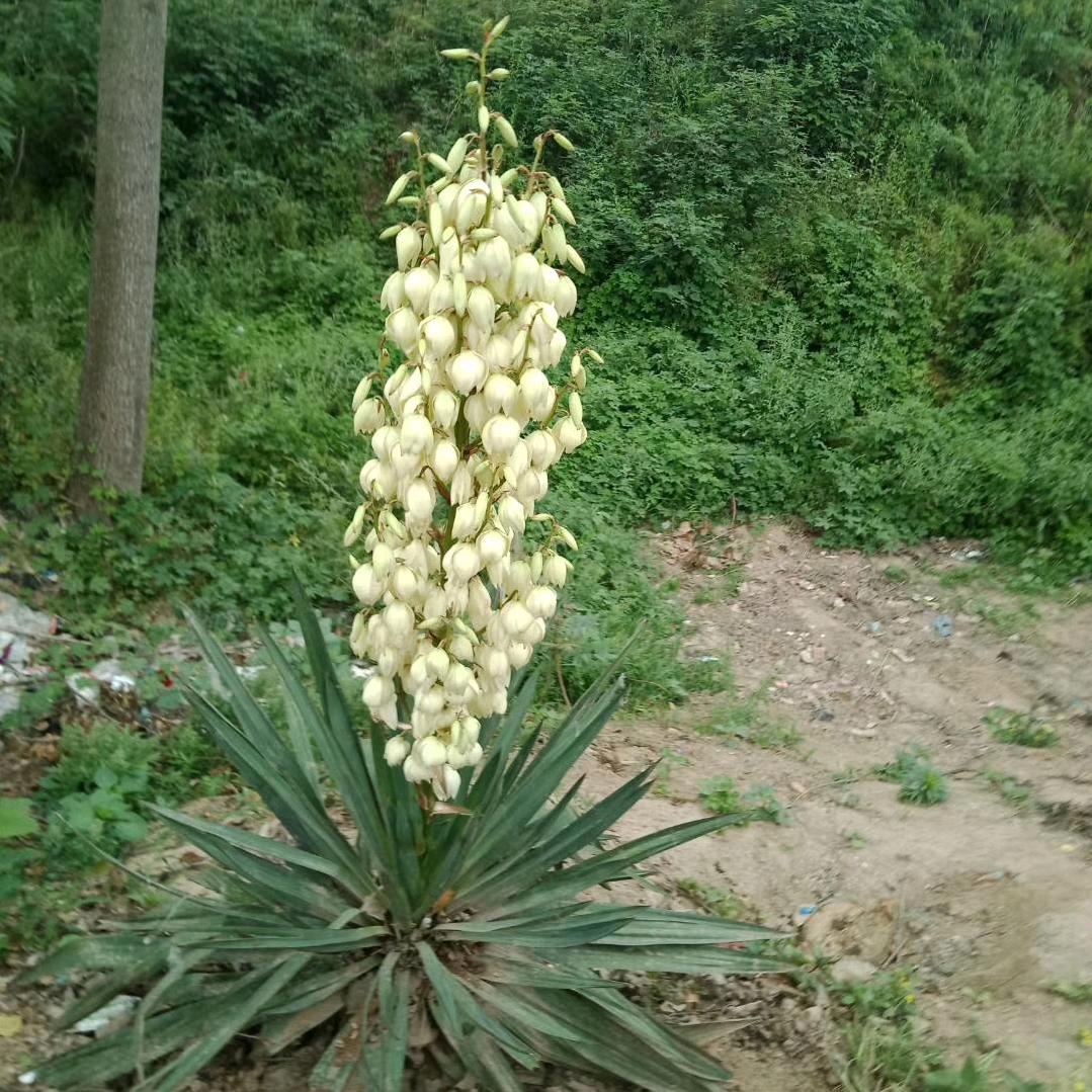幸福姊妹