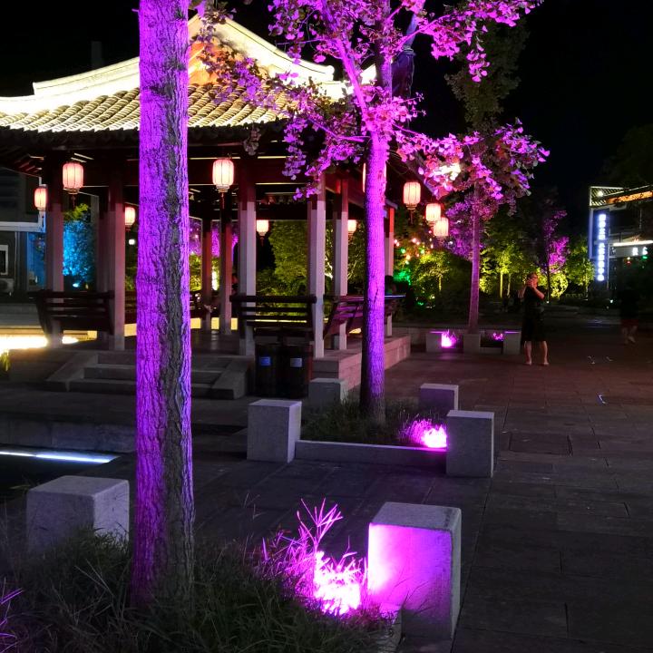 阿玲