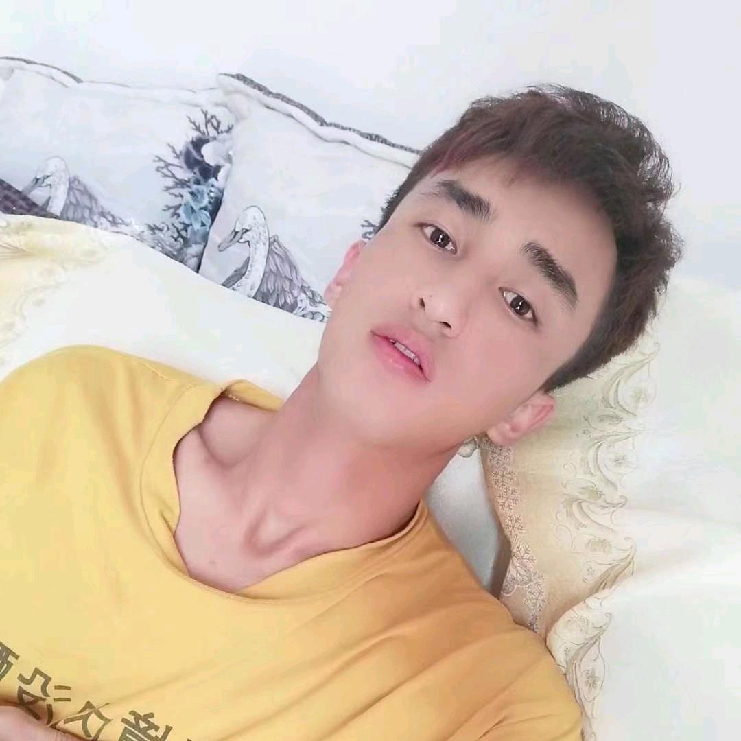 华语音乐地板砖杉仔