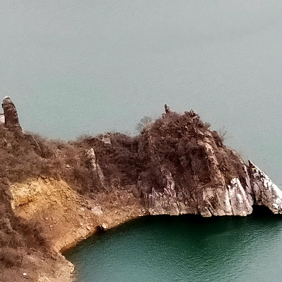 小草