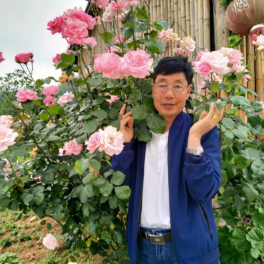 静平忍让
