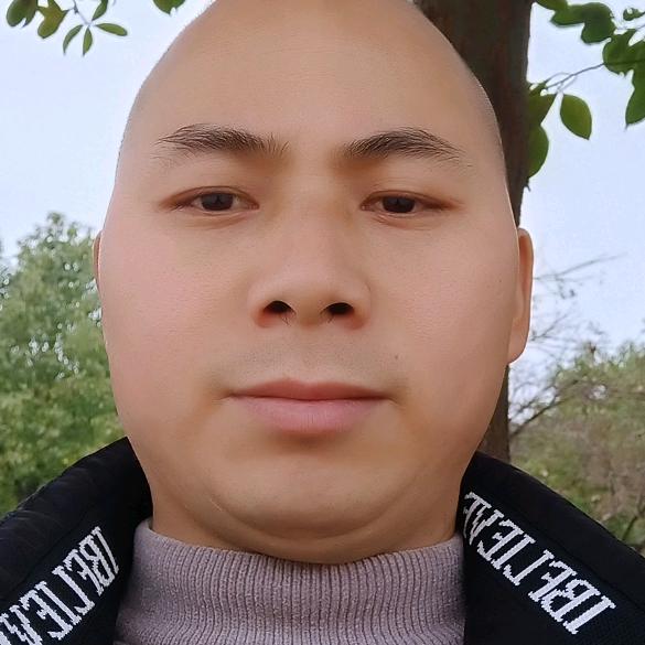 郑杰A