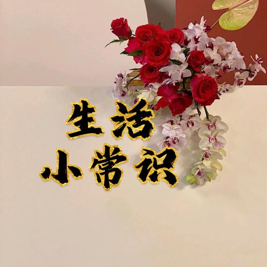 茵茵百货好物推荐