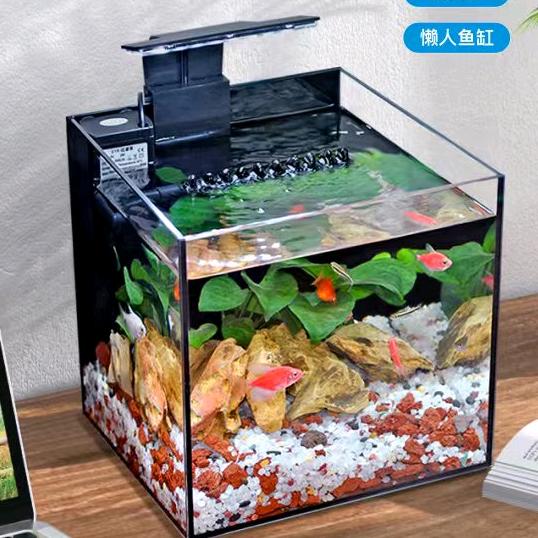 真有钱鱼缸摆件