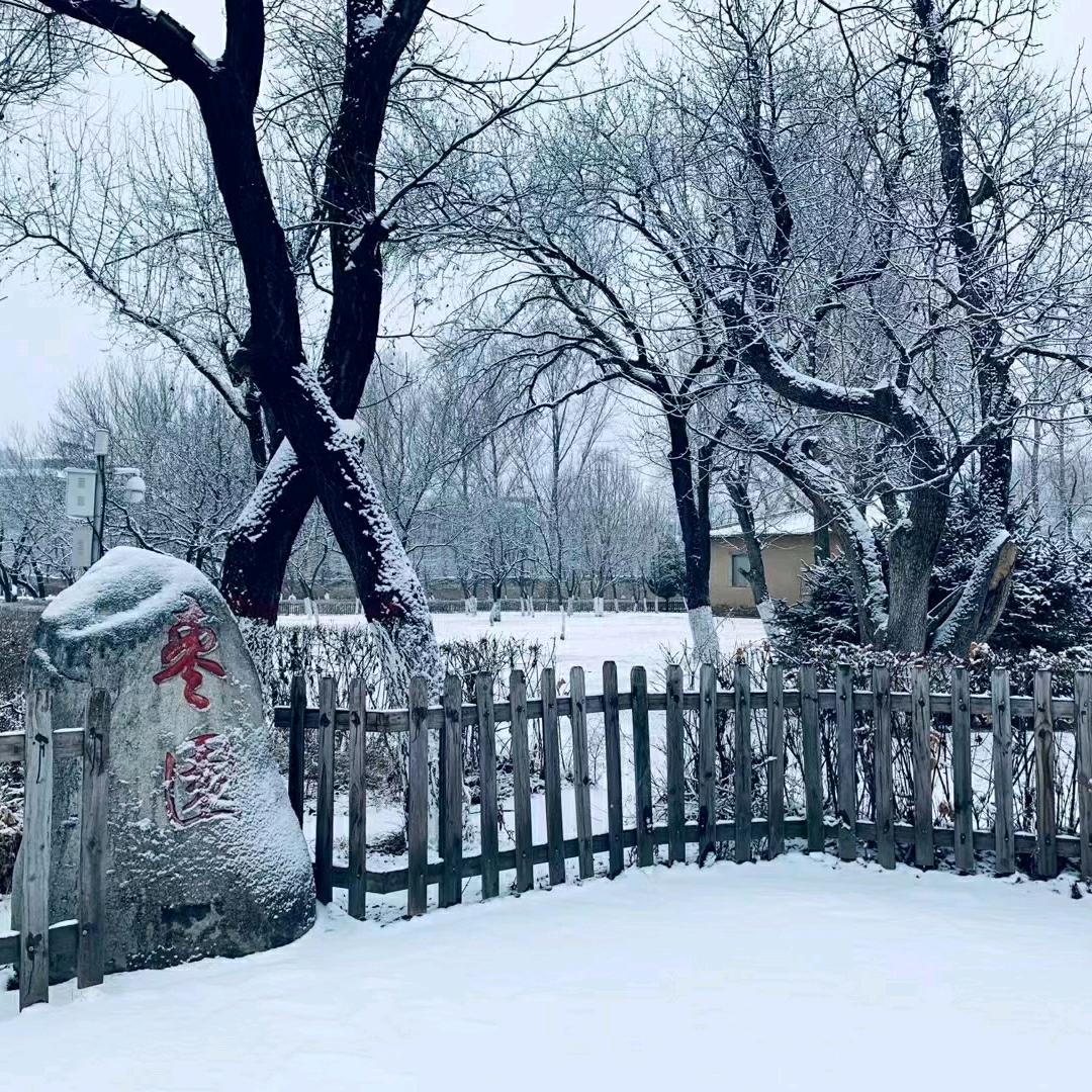 是赢不是鹰