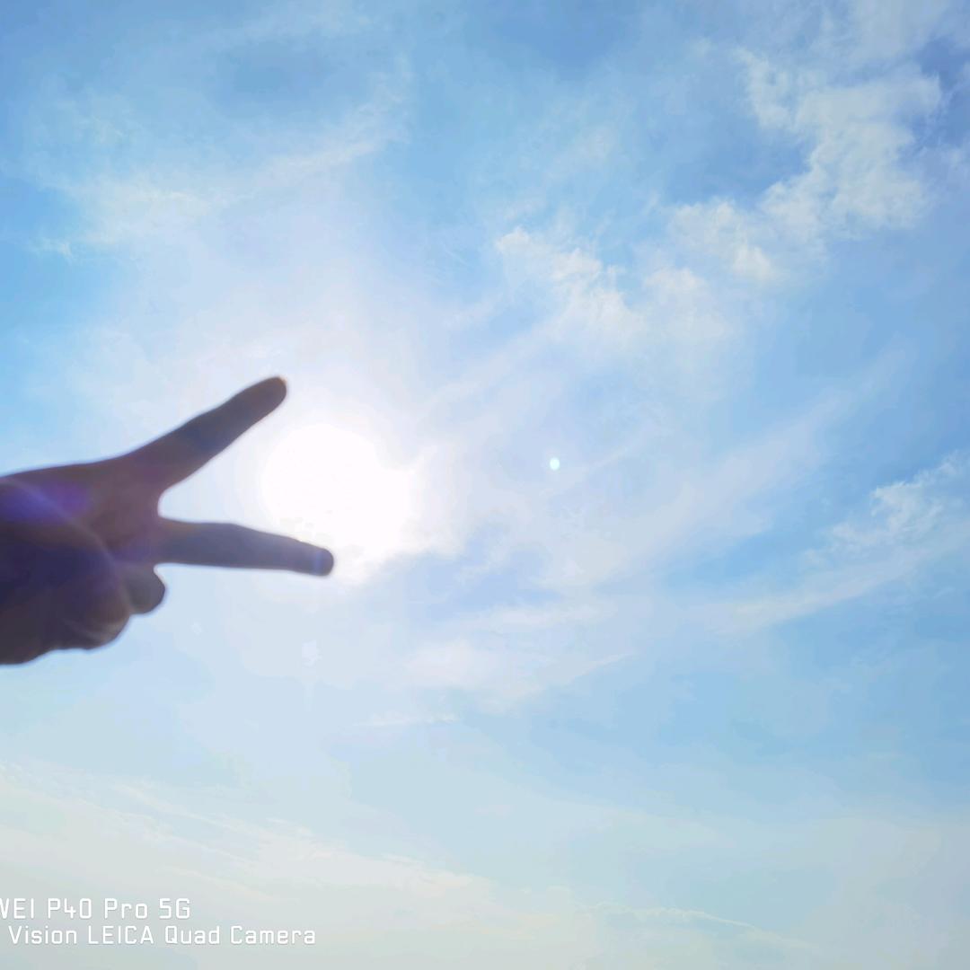 我在天上飞，你在地上追