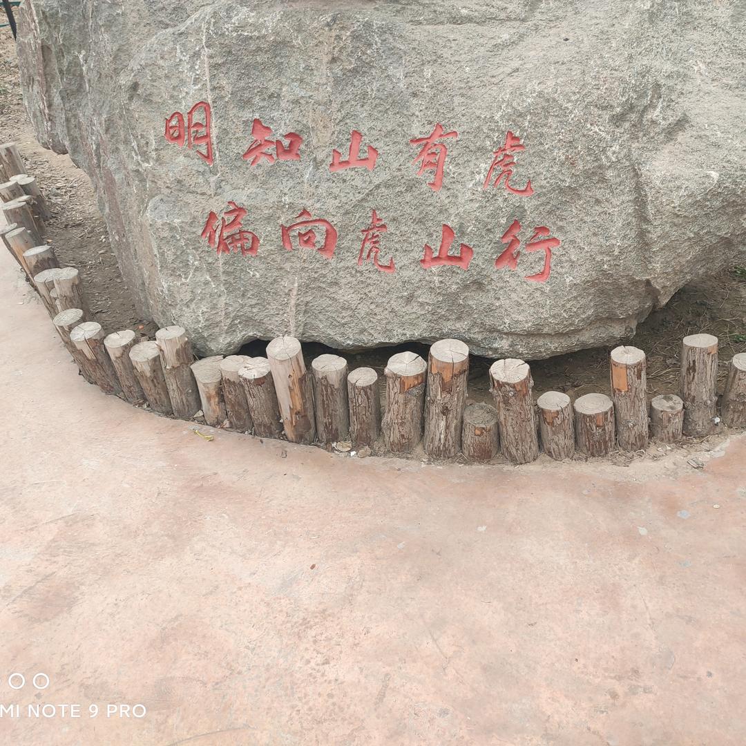 辉哥的时代