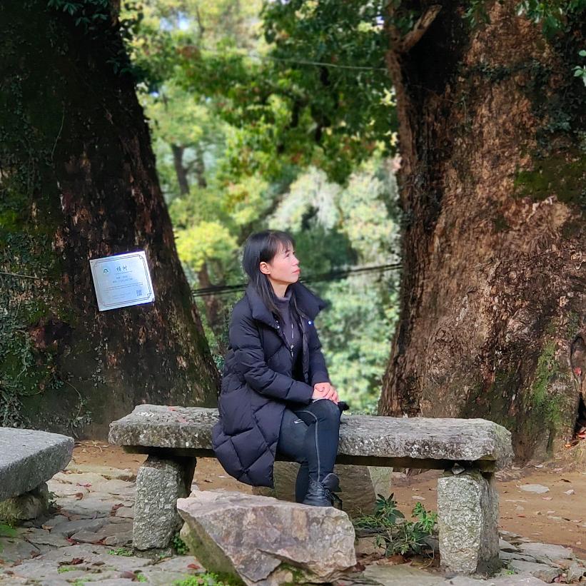 香水百合