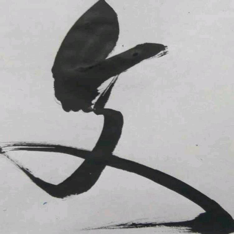 文老师