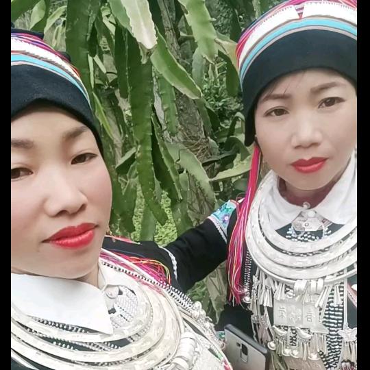 🌺美一天。🌸