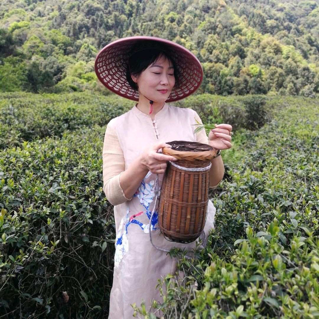 单家红茶