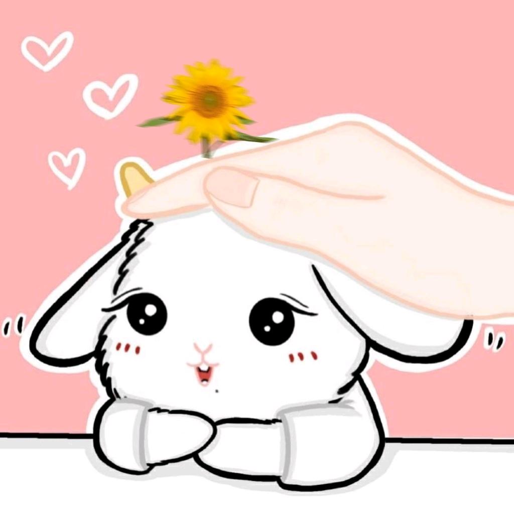 天空★的★口袋