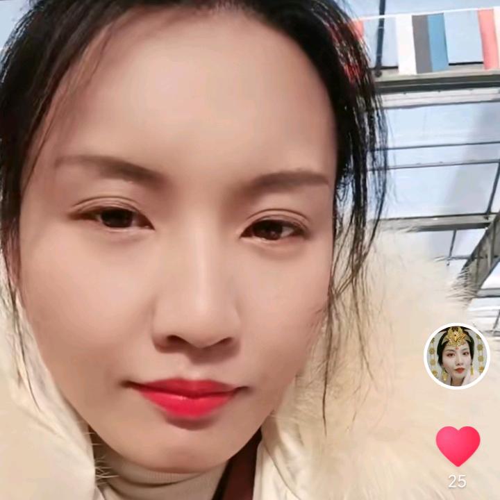 如其所是