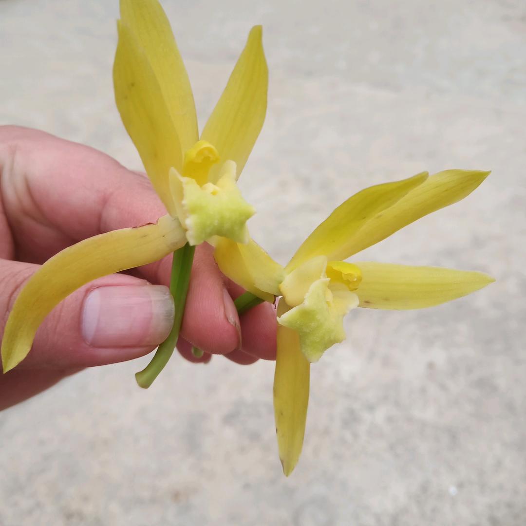 🌹爱我自己  🌹